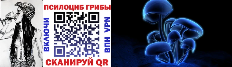 Галлюциногенные грибы Psilocybine cubensis  цены   Далматово 